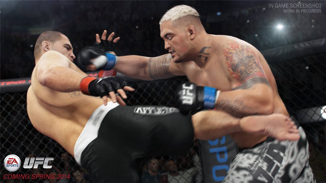 UFC终极格斗冠军-游戏截图