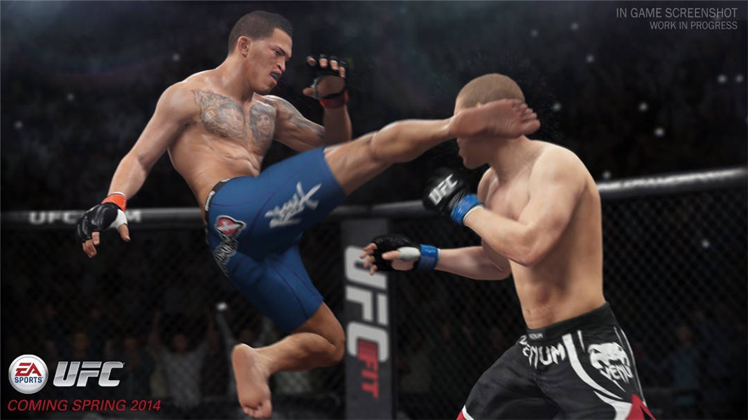 UFC终极格斗冠军-游戏截图