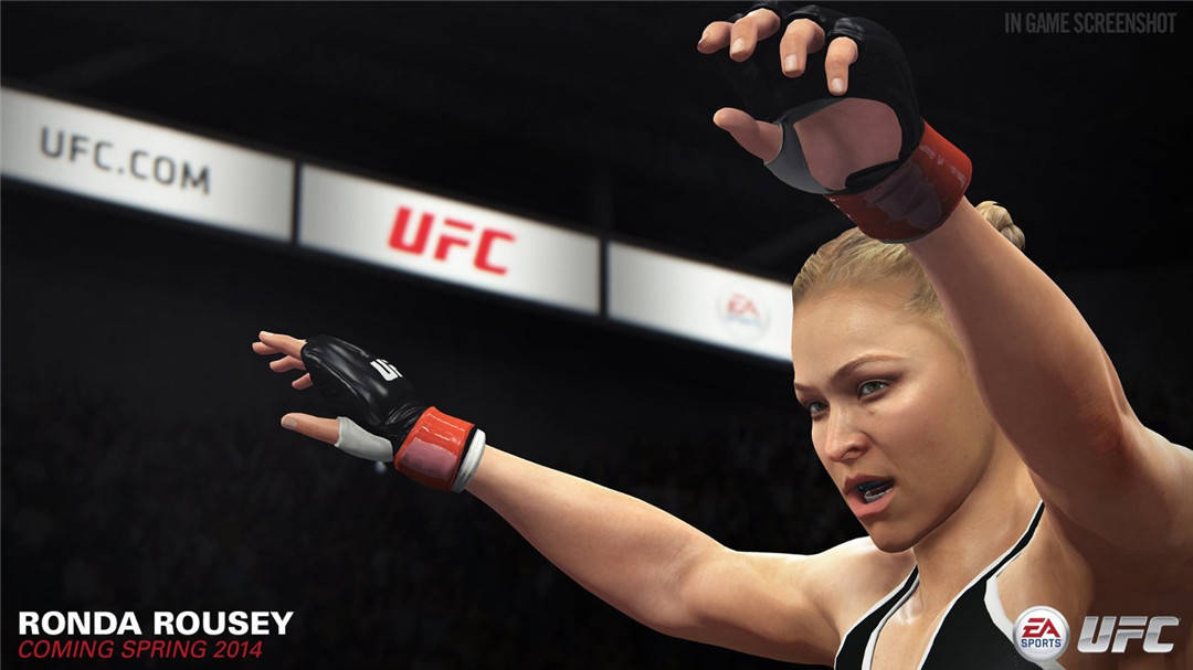 UFC终极格斗冠军-游戏截图